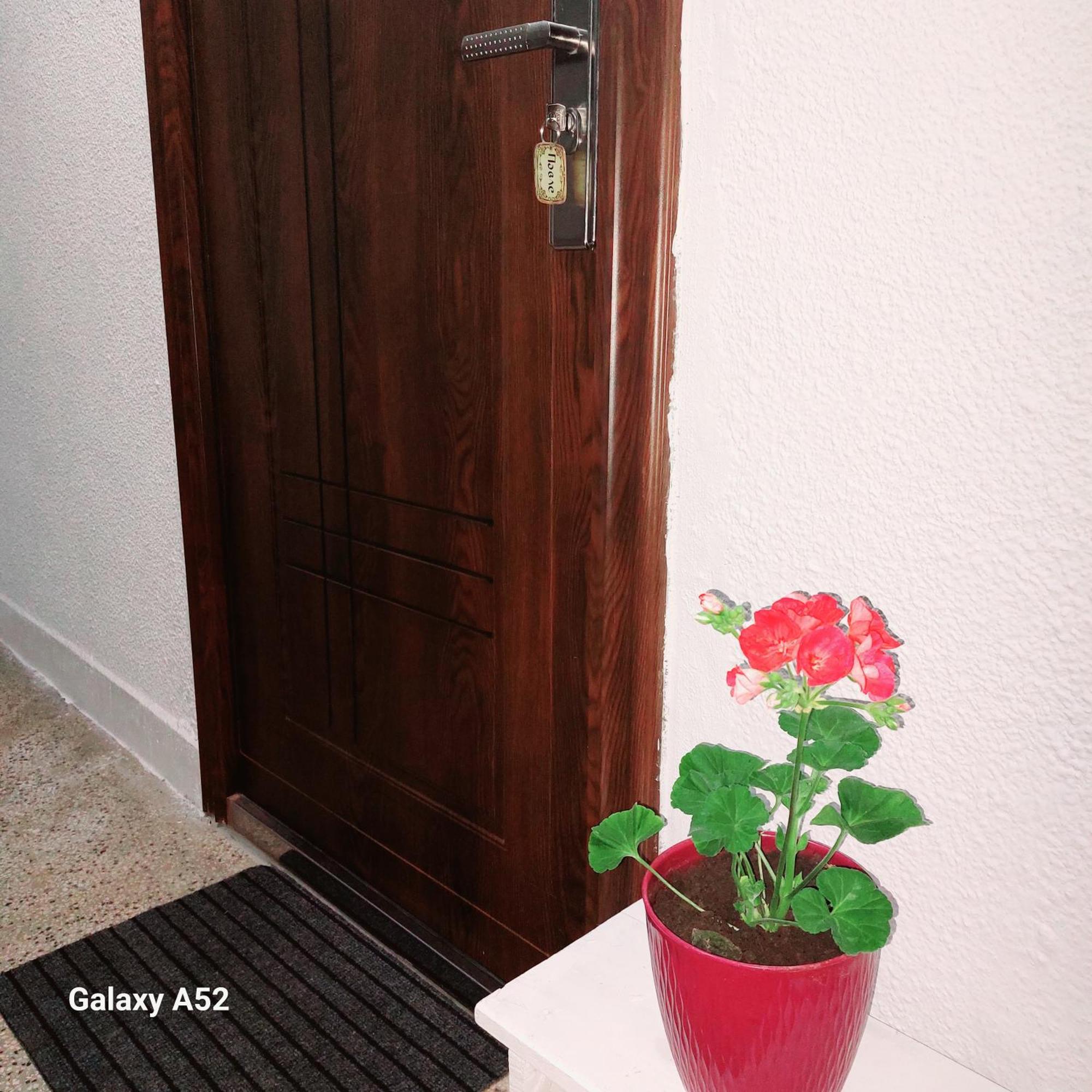 Apartman Pavle Plužine Exterior foto